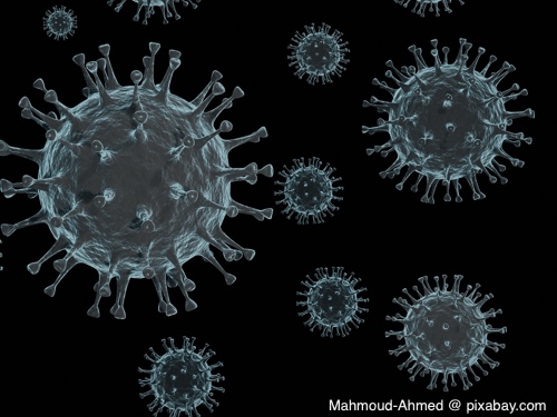 Bild von Corona, Grippe, Erkältung – Lieben Viren den Winter?